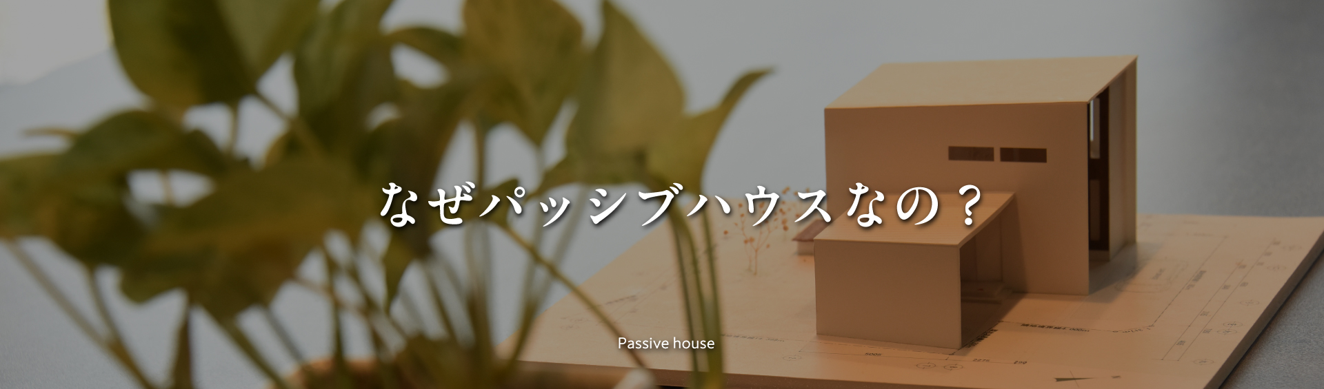 暮らし