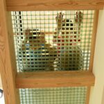 グレーチング床からのぞく２人
